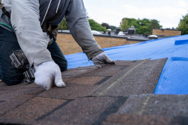 Best Storm Damage Roof Repair  in Essex Fells, NJ